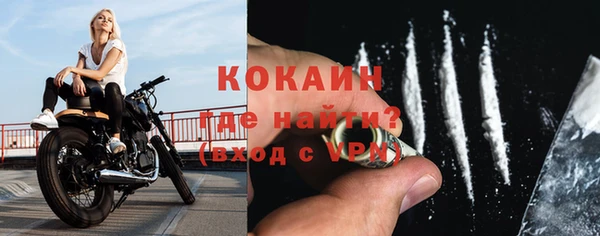 мяу мяу мука Шали