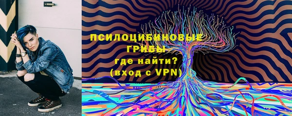 наркотики Каменногорск