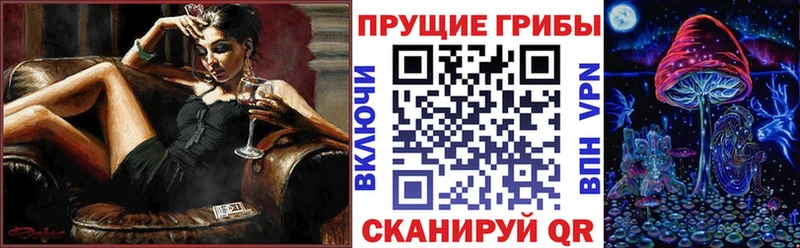 Галлюциногенные грибы Psilocybine cubensis  Козьмодемьянск 